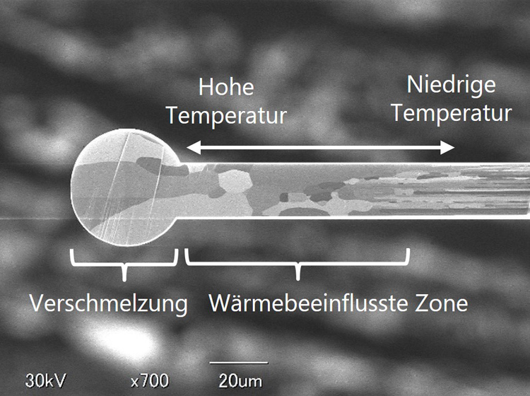 Querschnittsansicht von Pt