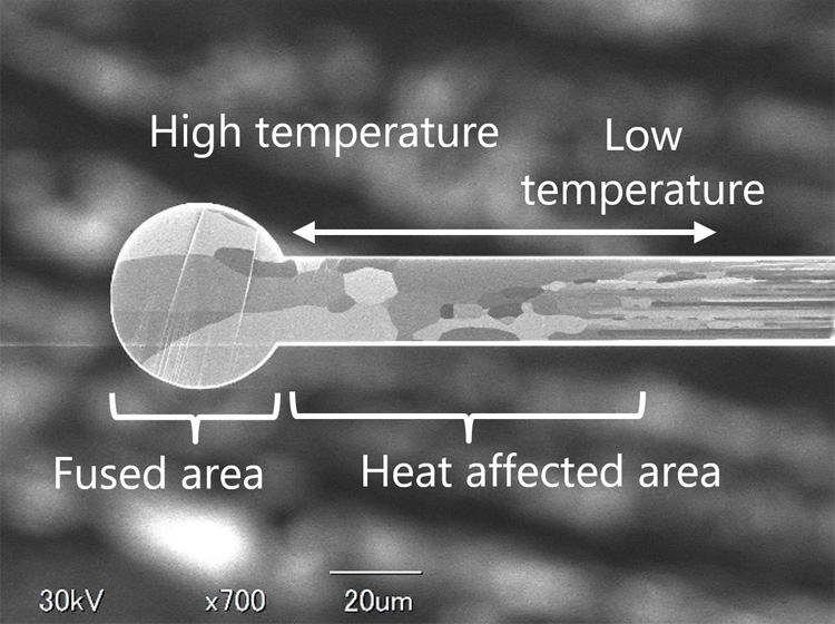 Pt cross-sectional view