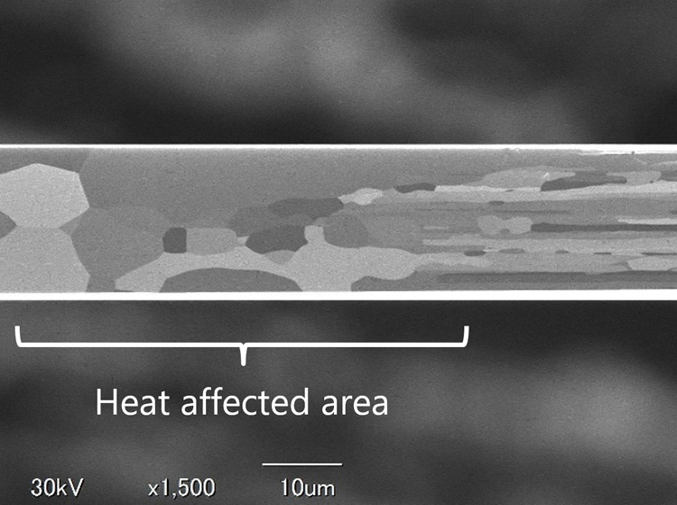 Detailed cross section of Pt