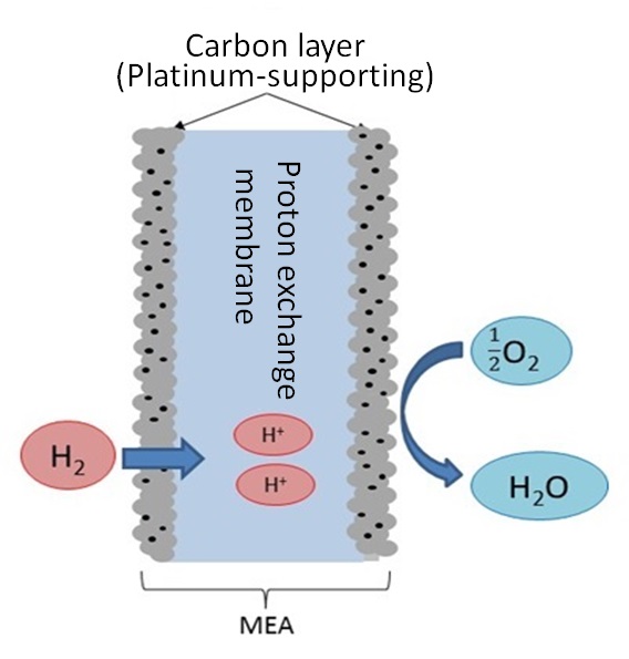 Fig. 8 Structure of MEA