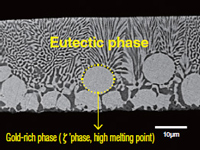 [Changes in lid cross-sectional structure due to differences in AuSn composition]AuSn20