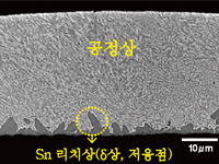 [AuSn 조성의 차이에 의한 리드 단면 조직의 변화] AuSn21.5