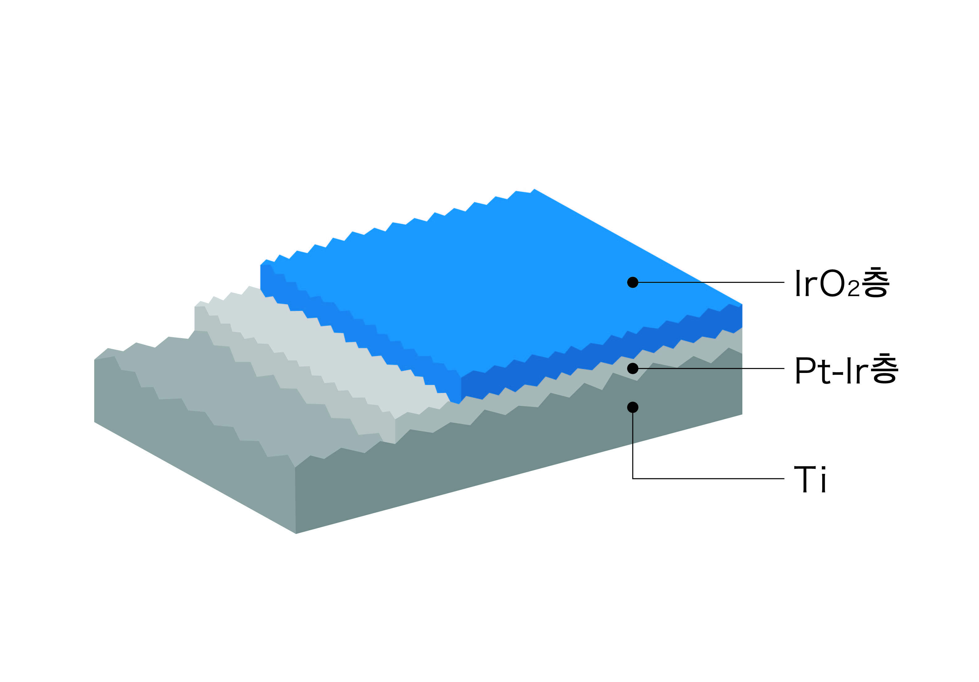 KP #72의 촉매 구조도