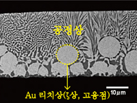 [AuSn 조성의 차이에 의한 리드 단면 조직의 변화] AuSn20