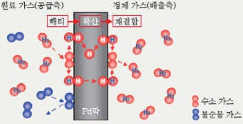 팔라듐에 의한 수소 투과 메카니즘의 설명도