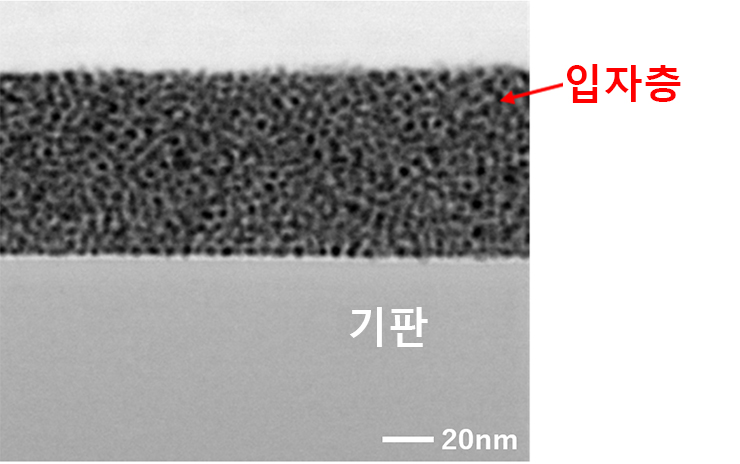 스핀 코팅으로 코팅 된 입자의 단면 이미지