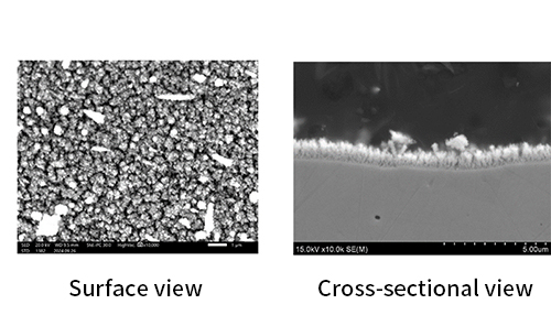 조성의 차이에 의한 수소 투과 계수의 온도 의존성의 차이에 대해서 -2