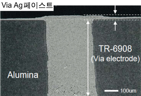 Via Ag 페이스트의 구조
