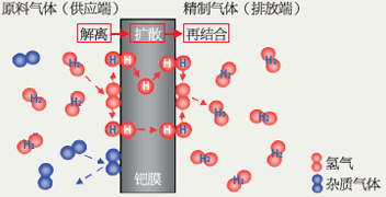 钯透氢机理的说明图