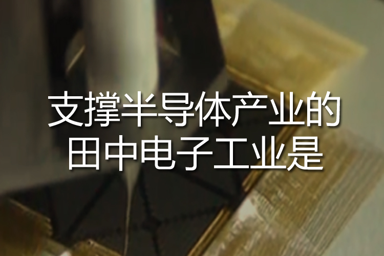 田中电子工业