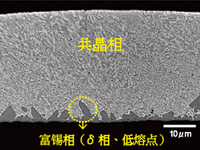 [不同AuSn组成引起的梁截面组织的变化] AuSn21.5