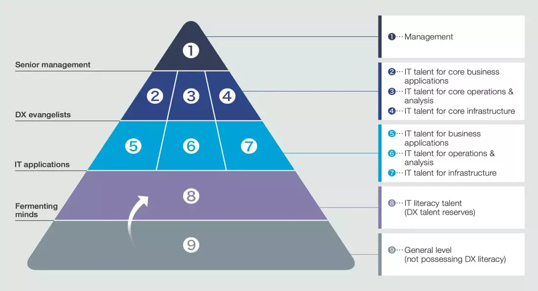 Human Resources Pyramid for Realizing Group Digital Vision 2030