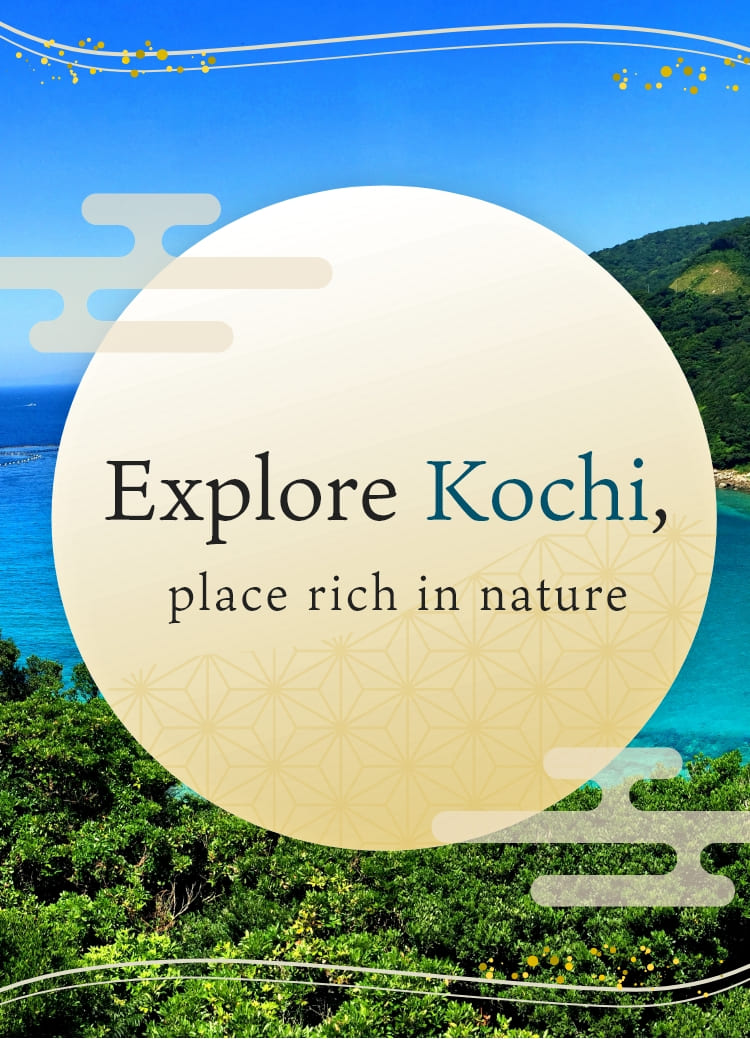 A trip to enjoy Kochi