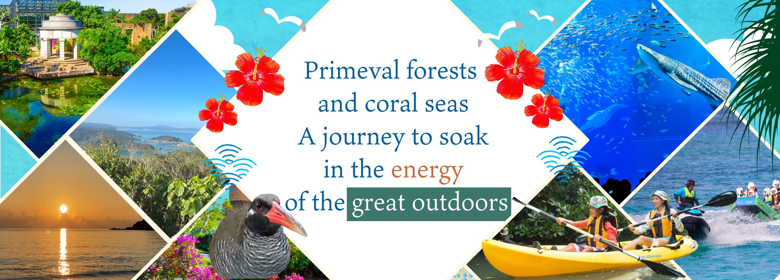 Primeval forests and coral seas
A journey to soak in the energy of the great outdoors