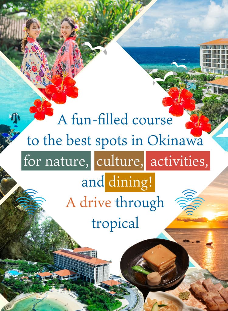 Este es un recorrido completo que te lleva a los lugares imprescindibles de Okinawa, permitiéndote disfrutar de la naturaleza, la cultura, experiencias únicas y la gastronomía. Conduce mientras admiras el paisaje tropical.