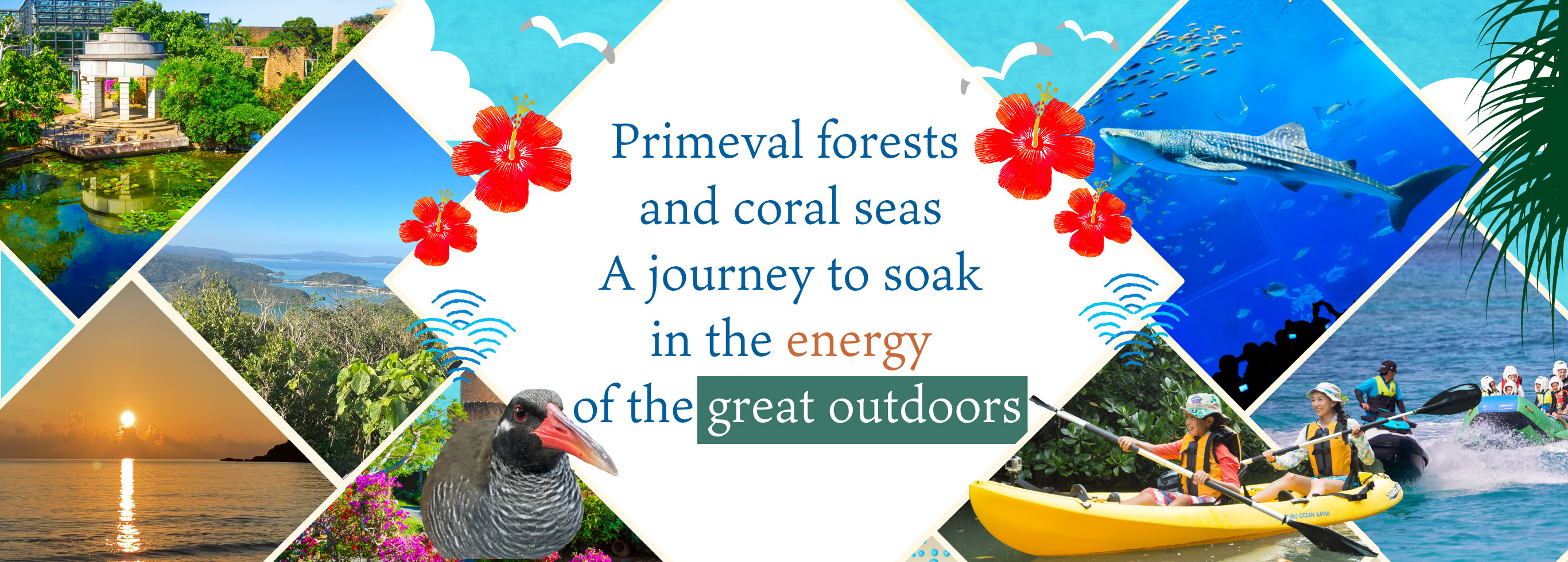 Un viaje para absorber plenamente la energía de la naturaleza: bosques primigenios y arrecifes de coral.