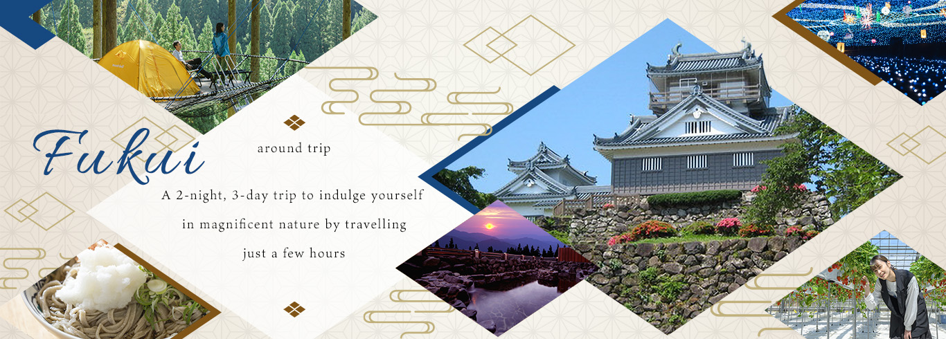 Un viaje de 3 días y 2 noches por Japón, a solo unas horas de Osaka, donde podrás disfrutar de una naturaleza magnífica.