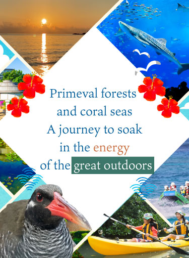 Un viaje para absorber plenamente la energía de la naturaleza: bosques primigenios y arrecifes de coral.