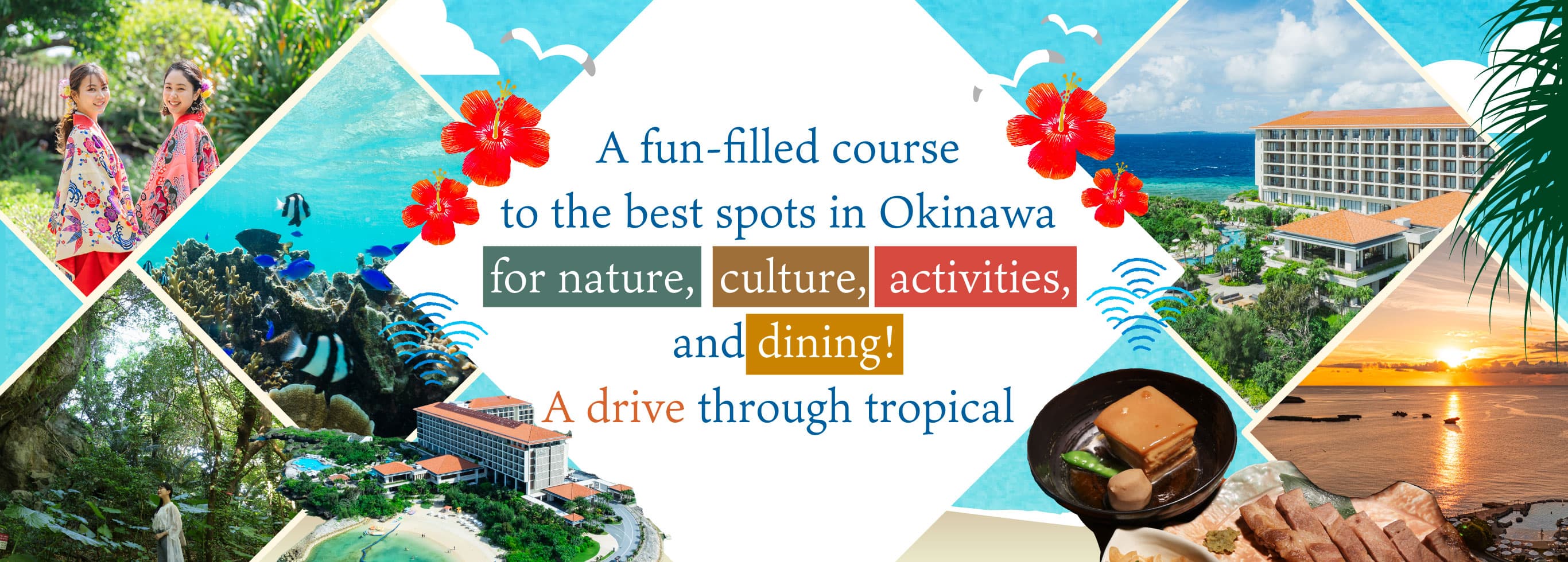 Este es un recorrido completo que te lleva a los lugares imprescindibles de Okinawa, permitiéndote disfrutar de la naturaleza, la cultura, experiencias únicas y la gastronomía. Conduce mientras admiras el paisaje tropical.