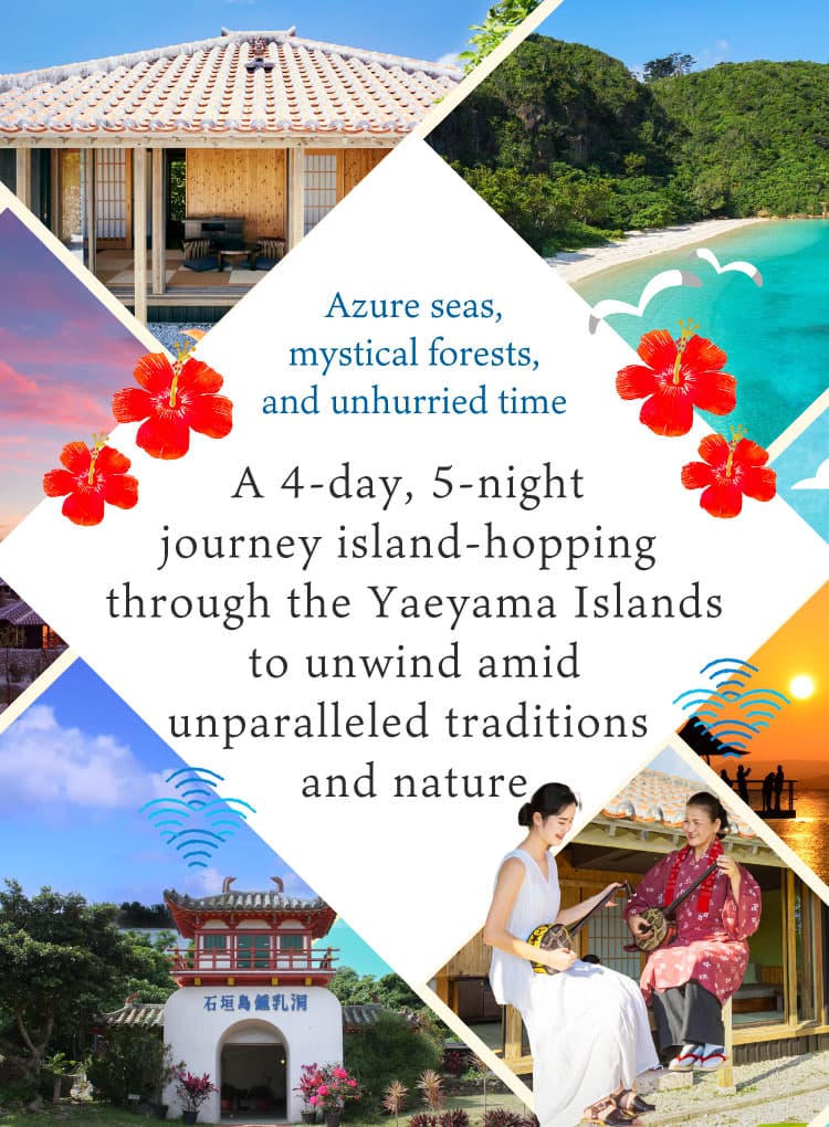 Un voyage de 4 nuits et 5 jours à travers les îles Yaeyama, où vous pourrez vous détendre au milieu d'une mer azur, de forêts mystiques et d'un rythme de vie paisible, entouré de traditions et d'une nature incomparables.