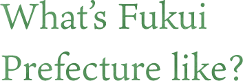 Qu'est-ce que la préfecture de Fukui ?