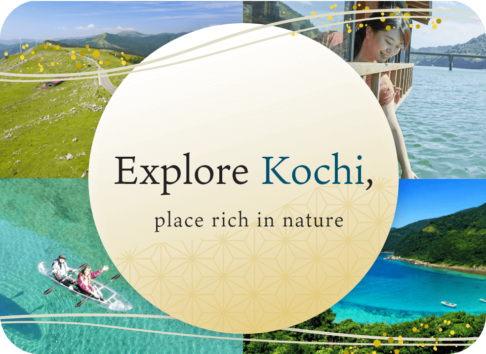 Voyagez à travers Kochi, une ville riche en nature.