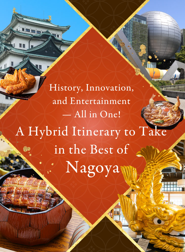 전국 순회 때마다 나고야시 특집 코스 1 1일째