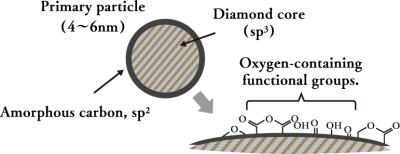 Cross-section of a primary particle (4-6 nm). The diamond core (sp³) is in the center, surrounded by amorphous carbon (sp²). An explanatory diagram showing that oxygen-based functional groups are attached to the particle surface.