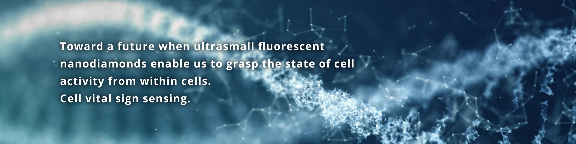 Towards a future where we can grasp the activity state of cells from inside them using ultra-small fluorescent nanodiamonds. "Cell vital sensing."