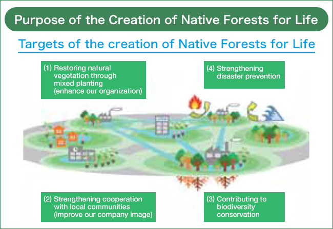 The Daicel Group’s Objectives in the Native Forests for Life Initiative ①Restoring Natural Vegetation Through Mixed Planting ②Strengthening Cooperation with Local Communities ④Strengthening Disaster Prevention ③Contributing to Biodiversity Conservation