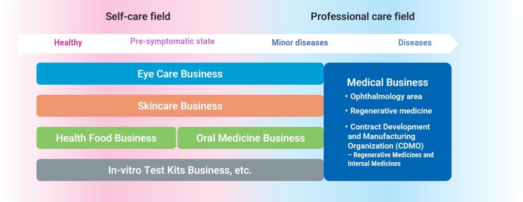 Diagram of domains addressed in Business Domain Vision 2030