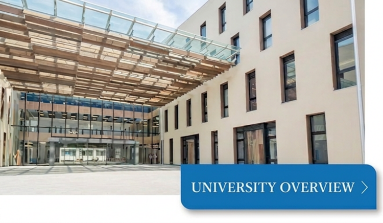 University overview