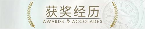 获奖经历