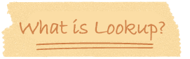 What is "Lookup"?