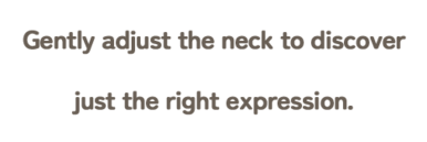 You can change the angle and direction of the neck!